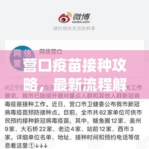 營口疫苗接種攻略，最新流程解讀與注意事項全解析