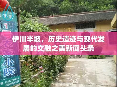 伊川半坡，歷史遺跡與現(xiàn)代發(fā)展的交融之美新聞?lì)^條
