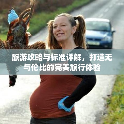 旅游攻略與標(biāo)準(zhǔn)詳解，打造無與倫比的完美旅行體驗(yàn)