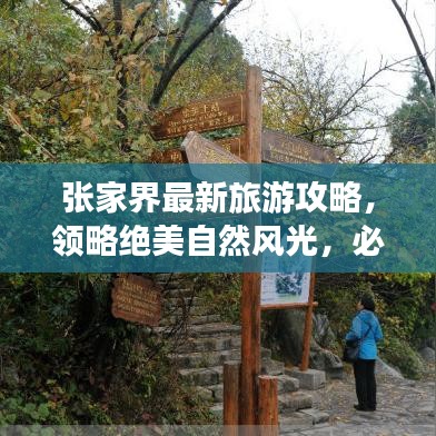 張家界最新旅游攻略，領(lǐng)略絕美自然風(fēng)光，必游之地！