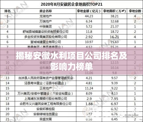 揭秘安徽水利項目公司排名及影響力榜單