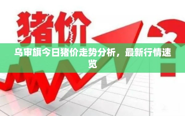 烏審旗今日豬價(jià)走勢(shì)分析，最新行情速覽