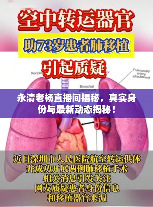 永清老楊直播間揭秘，真實(shí)身份與最新動態(tài)揭秘！