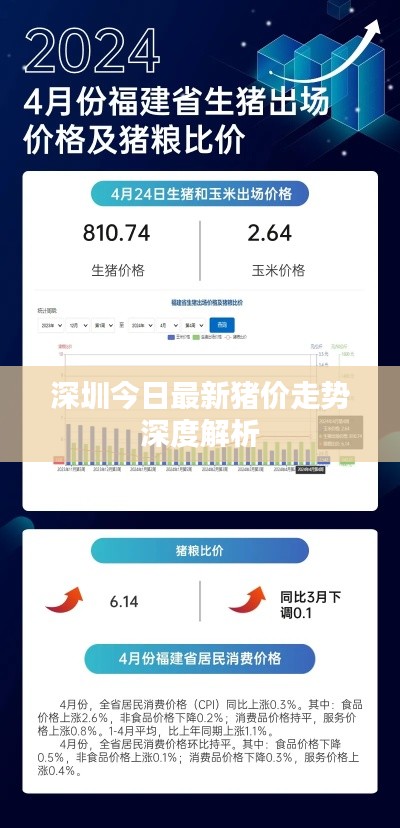 深圳今日最新豬價(jià)走勢(shì)深度解析