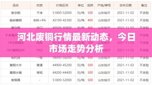 河北廢銅行情最新動(dòng)態(tài)，今日市場走勢分析