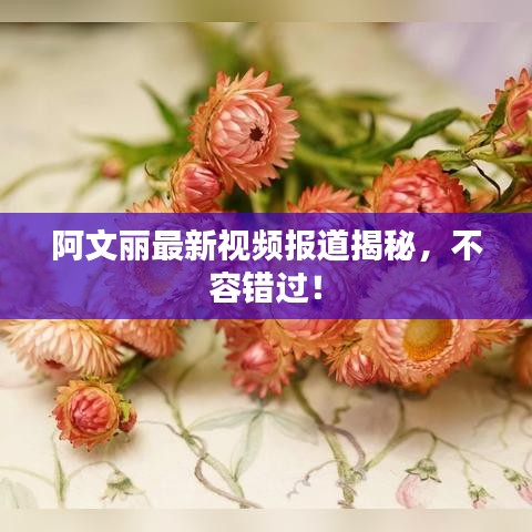 阿文麗最新視頻報(bào)道揭秘，不容錯(cuò)過！