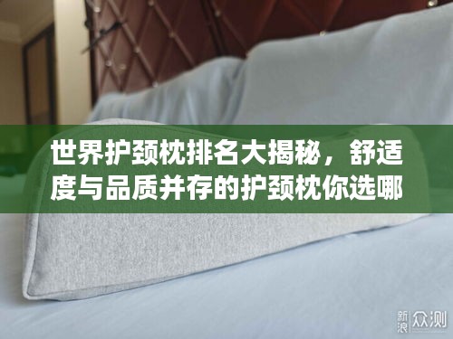世界護(hù)頸枕排名大揭秘，舒適度與品質(zhì)并存的護(hù)頸枕你選哪款？