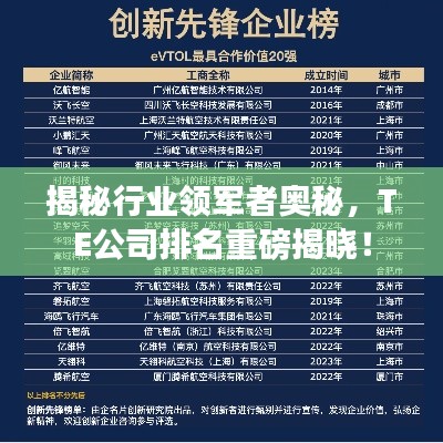 揭秘行業(yè)領(lǐng)軍者奧秘，TE公司排名重磅揭曉！
