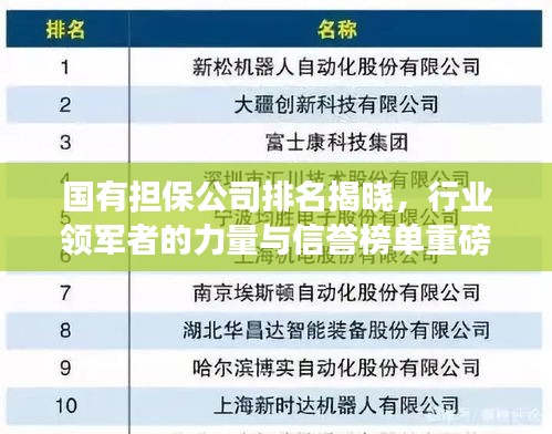 國(guó)有擔(dān)保公司排名揭曉，行業(yè)領(lǐng)軍者的力量與信譽(yù)榜單重磅出爐！