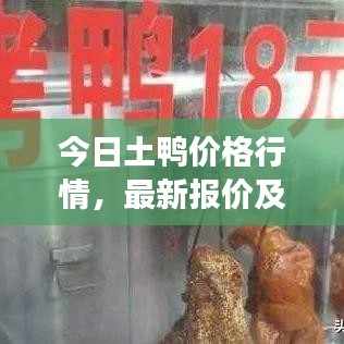 今日土鴨價格行情，最新報價及分析解讀