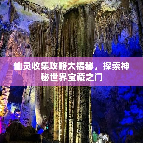 仙靈收集攻略大揭秘，探索神秘世界寶藏之門