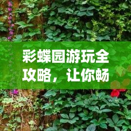 彩蝶園游玩全攻略，讓你暢游無憂！