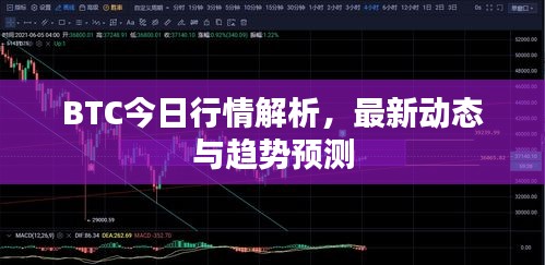 BTC今日行情解析，最新動態(tài)與趨勢預測