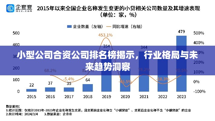 小型公司合資公司排名榜揭示，行業(yè)格局與未來趨勢洞察