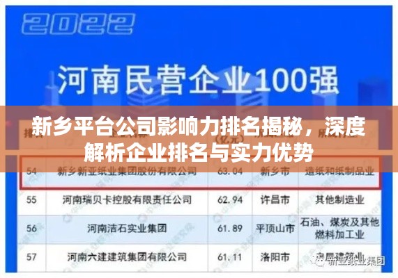新鄉(xiāng)平臺公司影響力排名揭秘，深度解析企業(yè)排名與實力優(yōu)勢