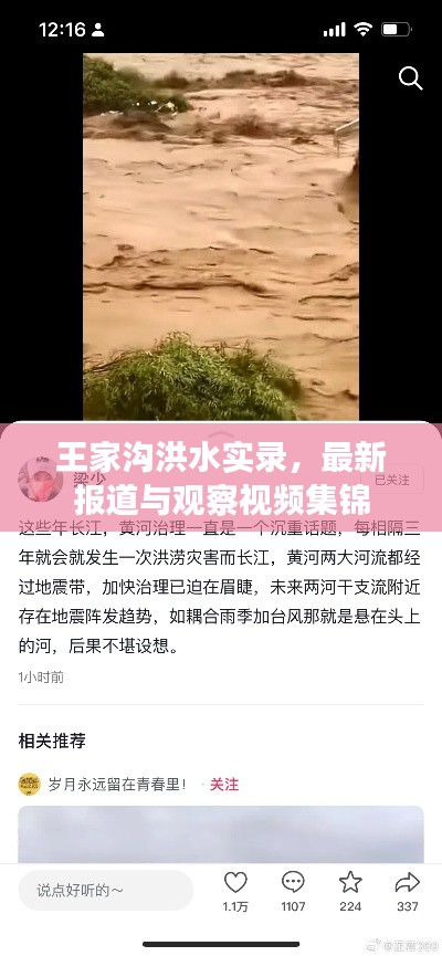 王家溝洪水實錄，最新報道與觀察視頻集錦