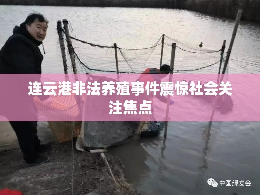 連云港非法養(yǎng)殖事件震驚社會關(guān)注焦點(diǎn)