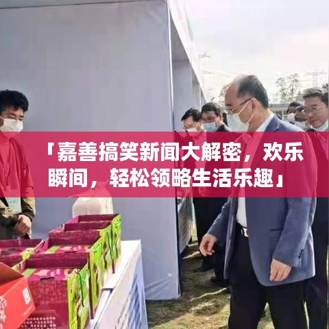 「嘉善搞笑新聞大解密，歡樂瞬間，輕松領(lǐng)略生活樂趣」