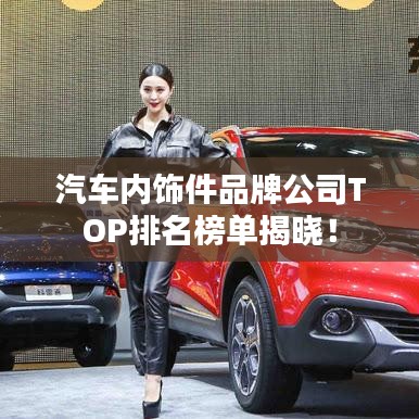 汽車內(nèi)飾件品牌公司TOP排名榜單揭曉！