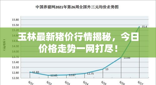 玉林最新豬價(jià)行情揭秘，今日價(jià)格走勢(shì)一網(wǎng)打盡！