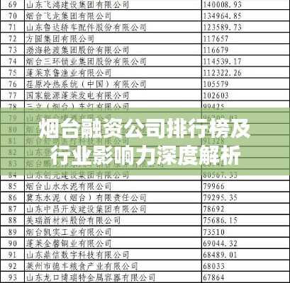 煙臺(tái)融資公司排行榜及行業(yè)影響力深度解析