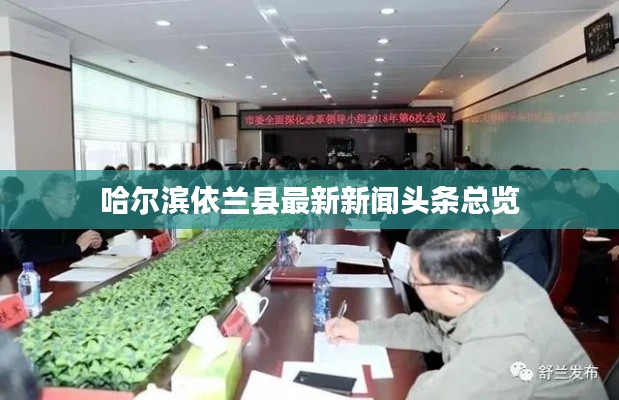 哈爾濱依蘭縣最新新聞?lì)^條總覽