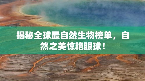 揭秘全球最自然生物榜單，自然之美驚艷眼球！
