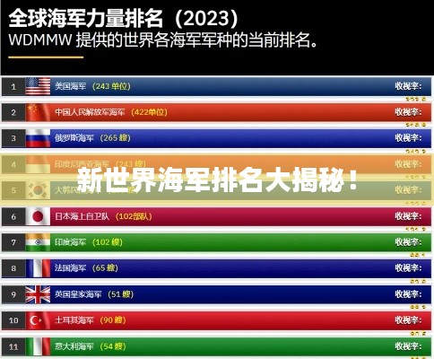新世界海軍排名大揭秘！
