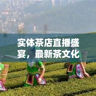 實(shí)體茶店直播盛宴，最新茶文化體驗(yàn)全攻略
