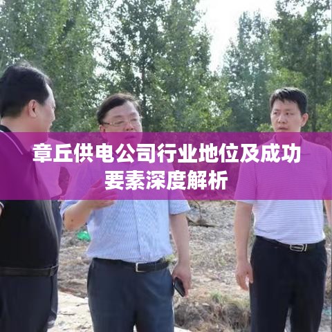 章丘供電公司行業(yè)地位及成功要素深度解析