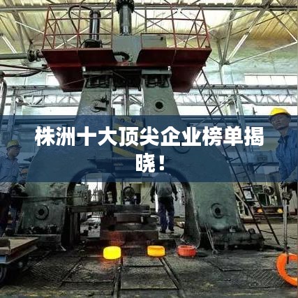 株洲十大頂尖企業(yè)榜單揭曉！