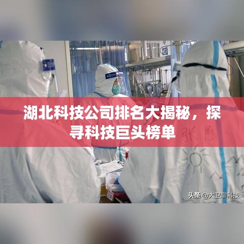 湖北科技公司排名大揭秘，探尋科技巨頭榜單