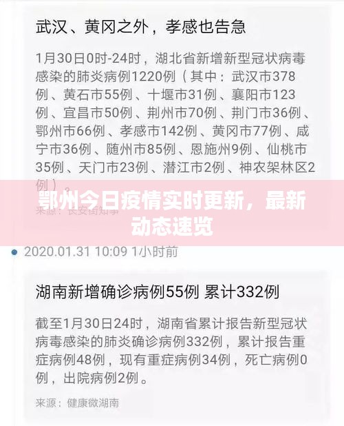 鄂州今日疫情實(shí)時更新，最新動態(tài)速覽