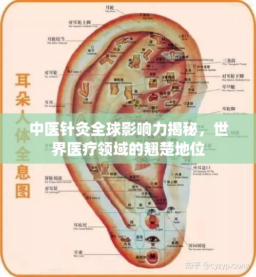 中醫(yī)針灸全球影響力揭秘，世界醫(yī)療領(lǐng)域的翹楚地位
