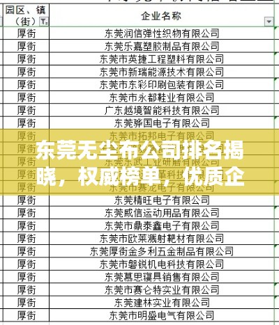 東莞無塵布公司排名揭曉，權(quán)威榜單，優(yōu)質(zhì)企業(yè)一覽無余！