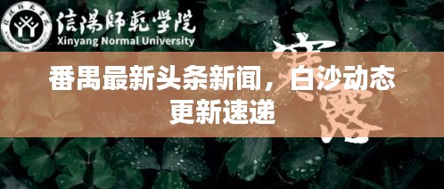 番禺最新頭條新聞，白沙動(dòng)態(tài)更新速遞