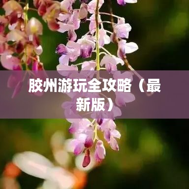 膠州游玩全攻略（最新版）
