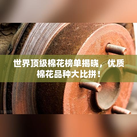 世界頂級(jí)棉花榜單揭曉，優(yōu)質(zhì)棉花品種大比拼！