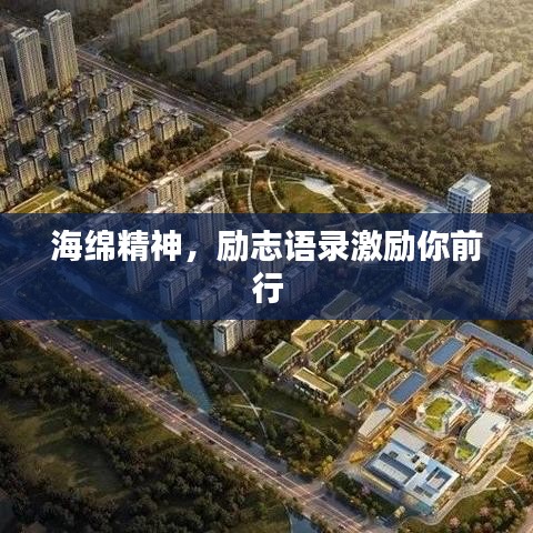 海綿精神，勵(lì)志語(yǔ)錄激勵(lì)你前行