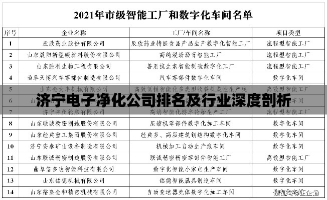 濟寧電子凈化公司排名及行業(yè)深度剖析