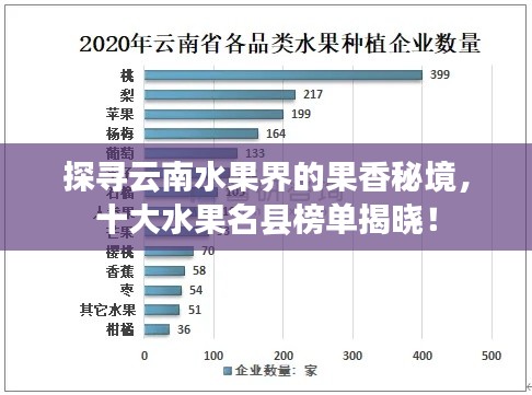 探尋云南水果界的果香秘境，十大水果名縣榜單揭曉！