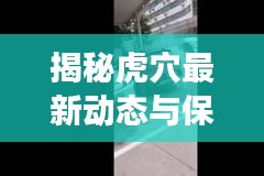 揭秘虎穴最新動(dòng)態(tài)與保護(hù)進(jìn)展，新聞?lì)^條熱議熱議話(huà)題