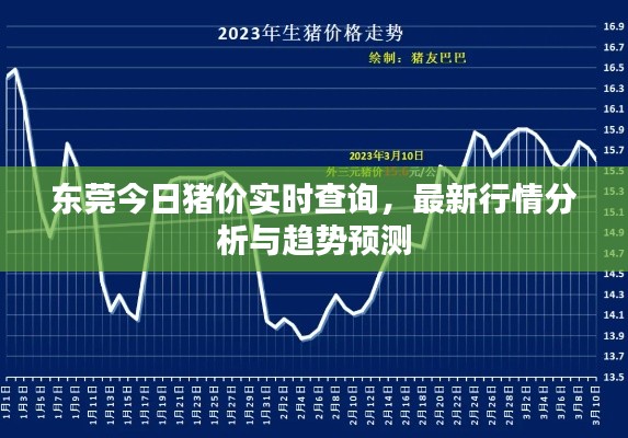 東莞今日豬價實時查詢，最新行情分析與趨勢預測