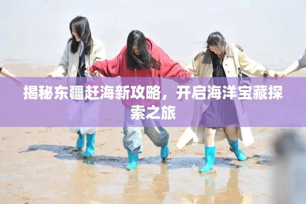揭秘東疆趕海新攻略，開(kāi)啟海洋寶藏探索之旅