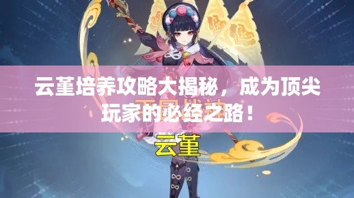 云堇培養(yǎng)攻略大揭秘，成為頂尖玩家的必經(jīng)之路！