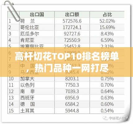 高桿切花TOP10排名榜單，熱門品種一網(wǎng)打盡