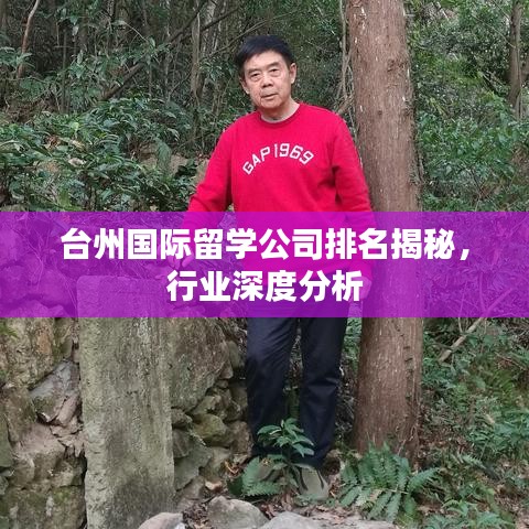 臺州國際留學公司排名揭秘，行業(yè)深度分析