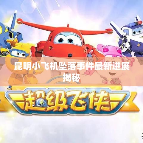 昆明小飛機墜落事件最新進展揭秘
