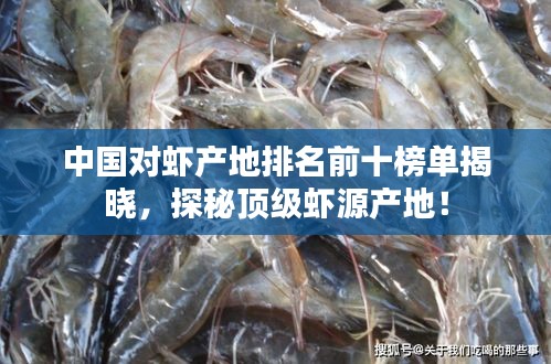 中國對蝦產(chǎn)地排名前十榜單揭曉，探秘頂級蝦源產(chǎn)地！