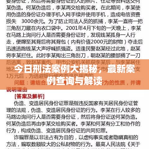 今日刑法案例大揭秘，最新案例查詢與解讀